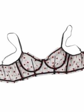 Black Mesh Underwire Bra Red Heart Embroidered Sheer Lingerie 36B
